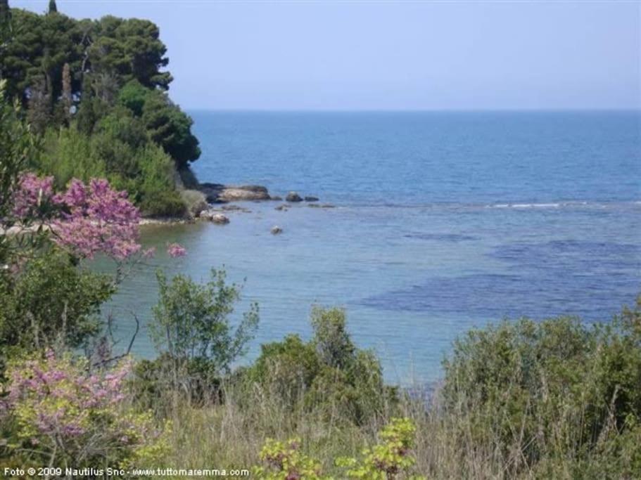 Sweet Liana Un Tuffo Nel Cuore Del Paese Porto Santo Stefano  Zewnętrze zdjęcie